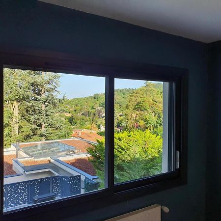 Studio Meuble Saint-Cyr-Au-Mont-D'Or Εξωτερικό φωτογραφία